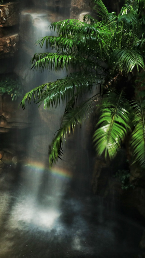 Indonesia (18) screenshot