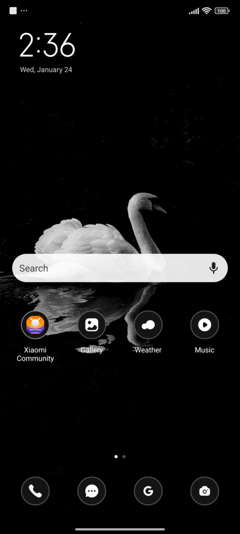 Dark Swan screenshot
