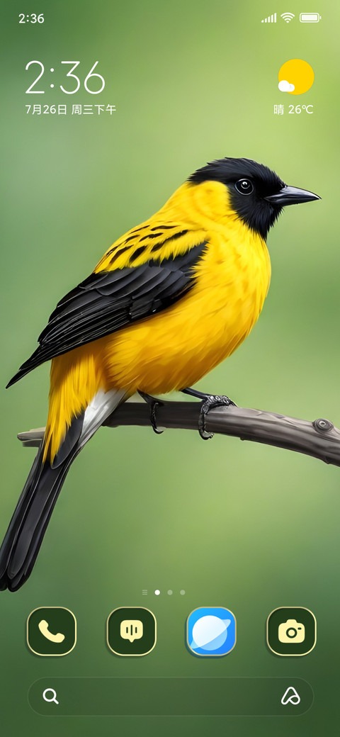 Bird Feathers screenshot
