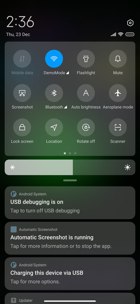 Rain Leaf screenshot