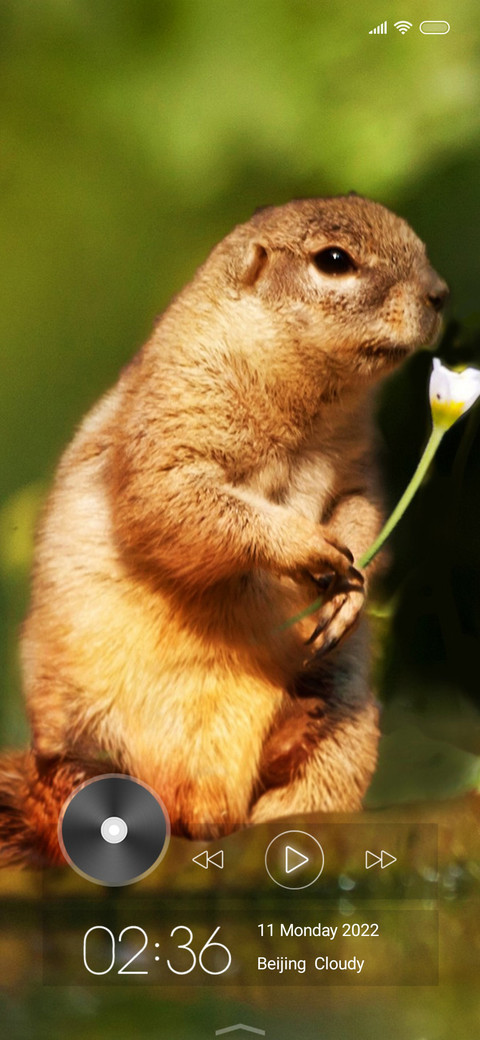 Wildlife eleven screenshot