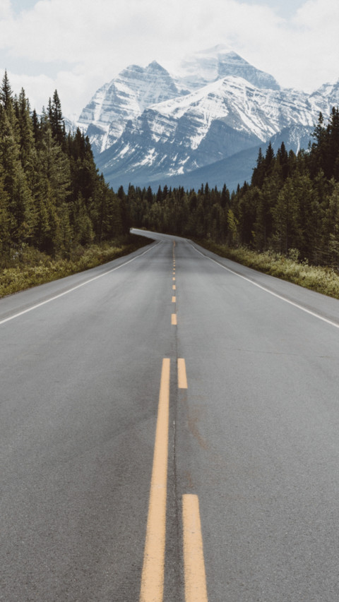 Roads (13) screenshot
