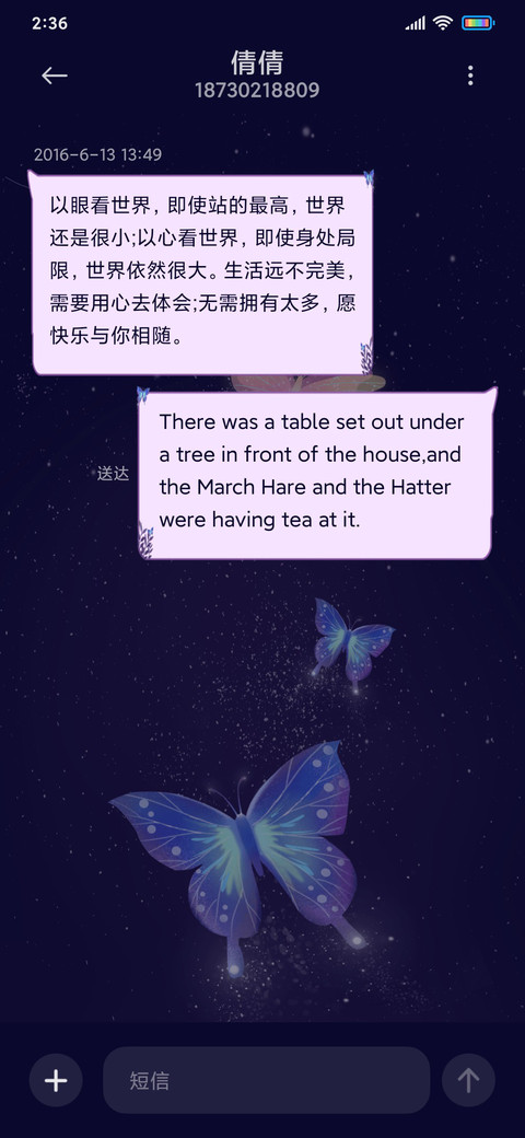 夜晚中的蝴蝶 screenshot