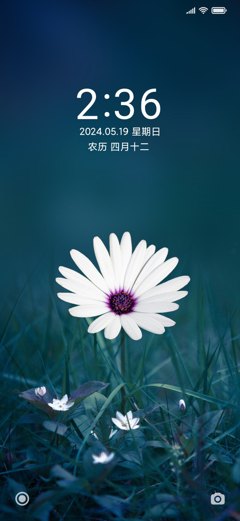 唯美清新花朵 screenshot