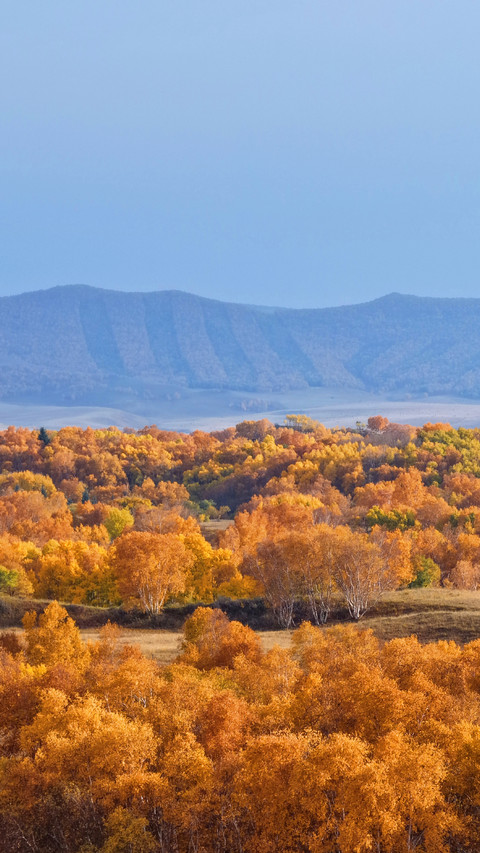 The autumn charm paints all the peaks screenshot