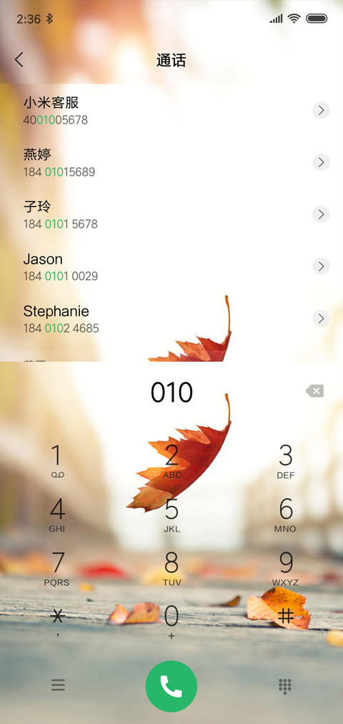 落叶 screenshot