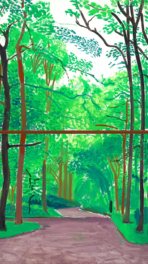 大卫·霍克尼 screenshot