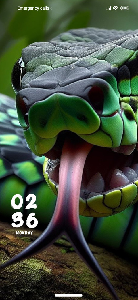 Reptile screenshot