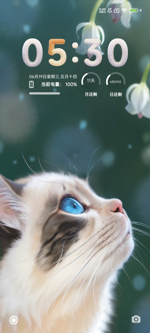 猫咪 screenshot