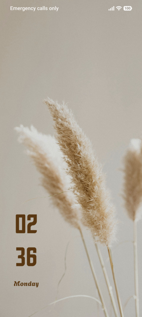 Palm Shadow screenshot