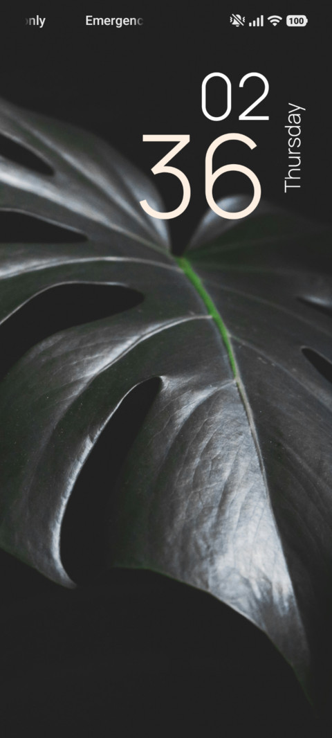 Shadow Foliage screenshot
