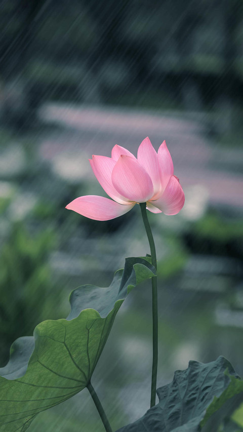 黄梅时节话防“霉” screenshot