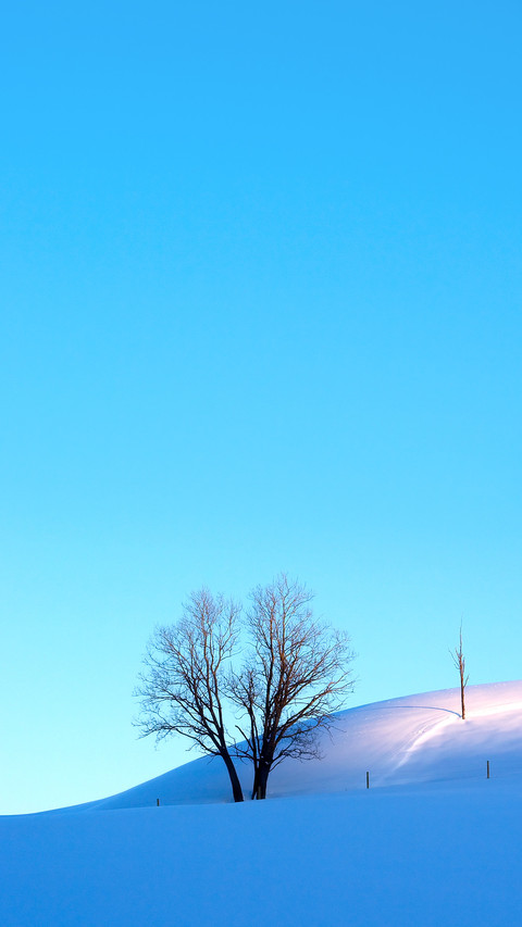 Crisp morning winter landscape screenshot