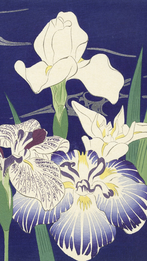 日本版画家小原古邨 screenshot
