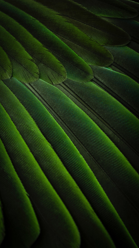 Pattern Play (22) screenshot