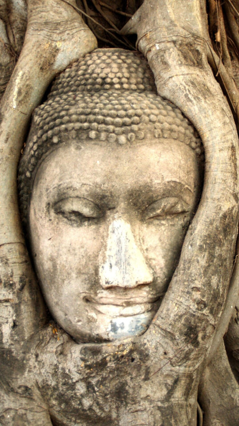 Thailand (2) screenshot