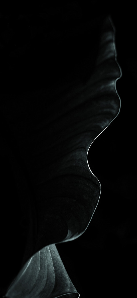 清雅之韵 screenshot