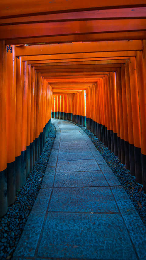 Fushimi inari shrine in kyoto japan screenshot