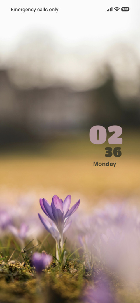 Field screenshot