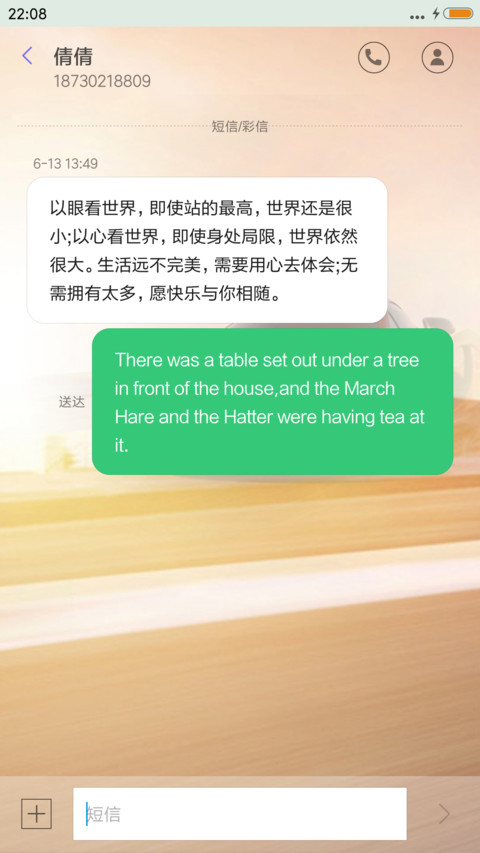 速度与激情 screenshot