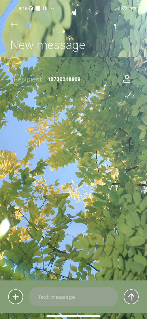 Summer ice cubes screenshot