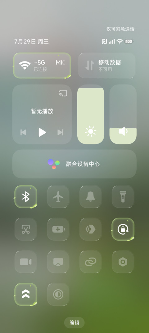 护眼绿色松林 screenshot