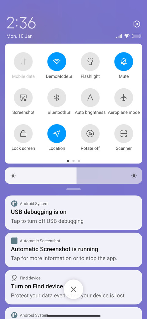 polar bear screenshot