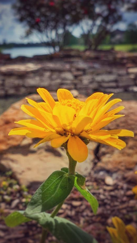 84 screenshot