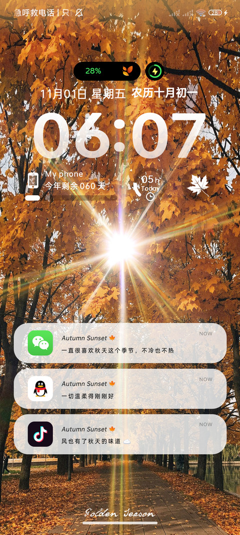 丁达尔光 秋日枫叶 screenshot