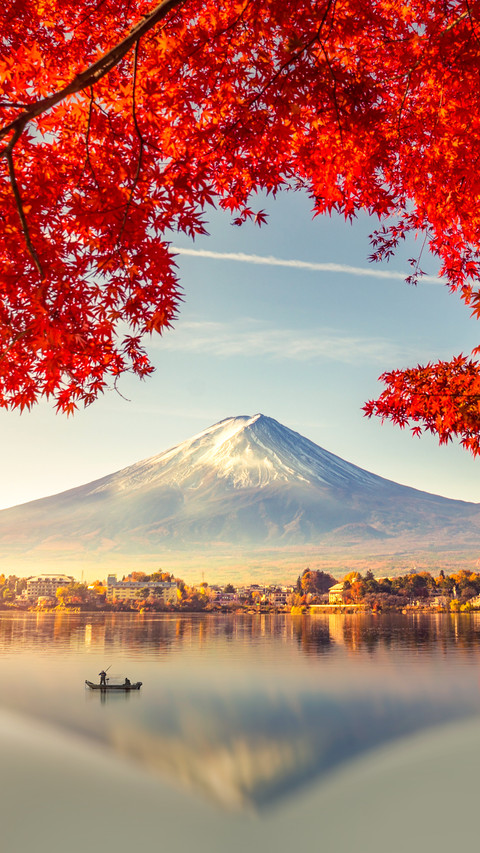 Colorful Autumn Season and Mountain Fuji screenshot