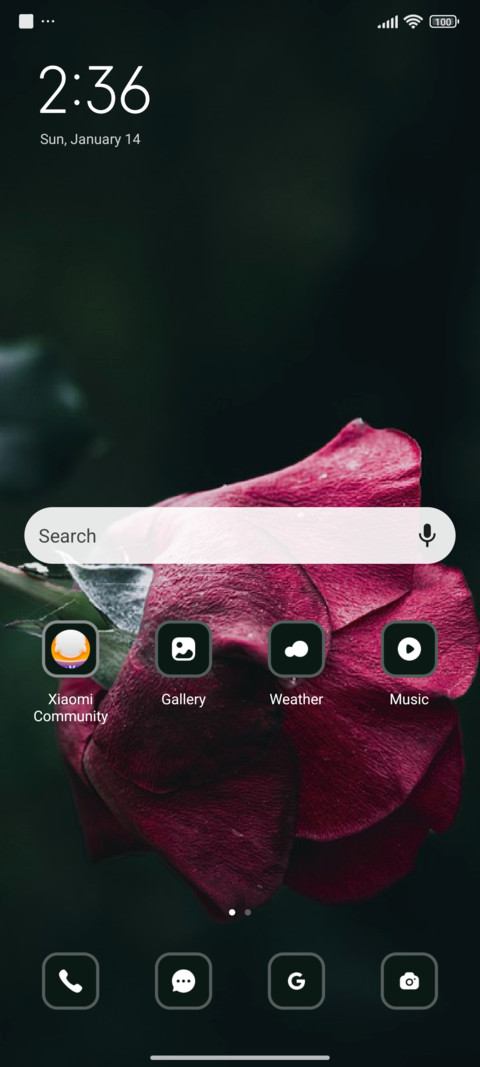 Rose screenshot