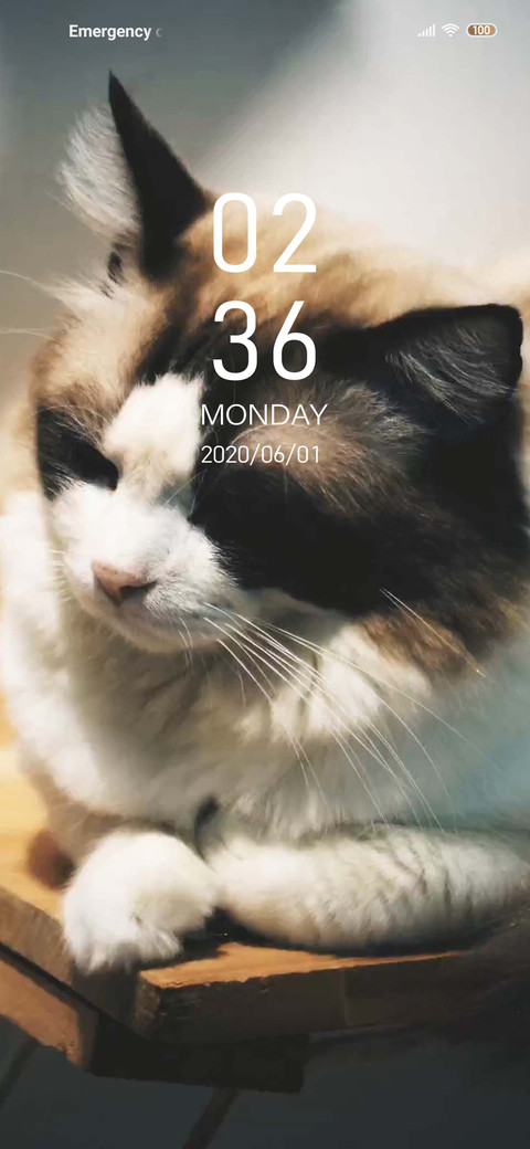 Puss screenshot