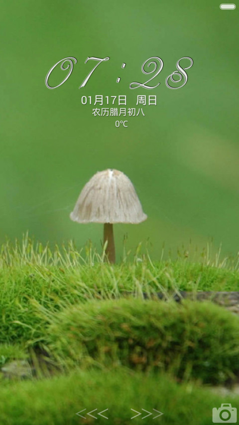 新芽绿意 近千图标+多壁纸  screenshot