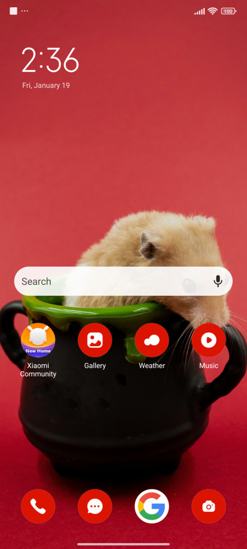 Hamster R screenshot
