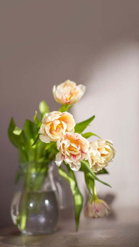 Bouquet of tulips in glass vase under the table screenshot