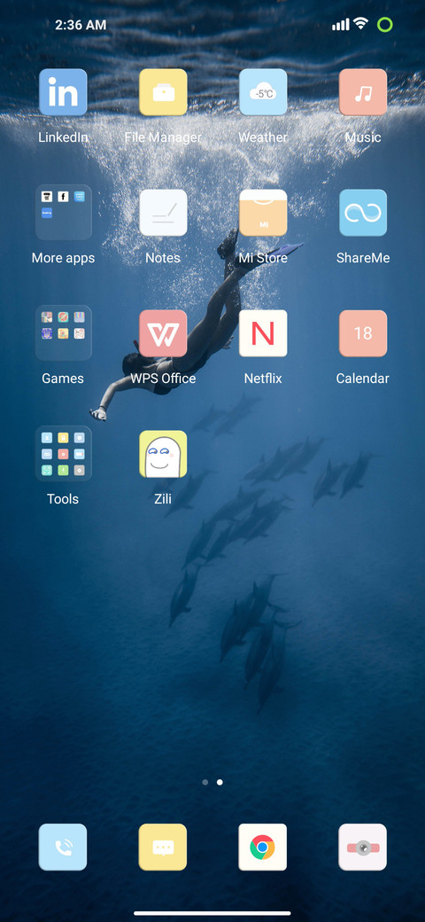 diving screenshot
