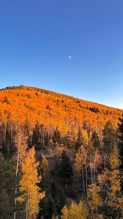 The autumn charm paints all the peaks screenshot