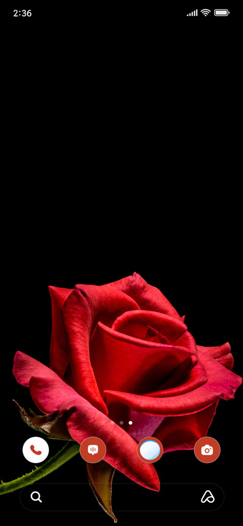 Scarlet Rose screenshot