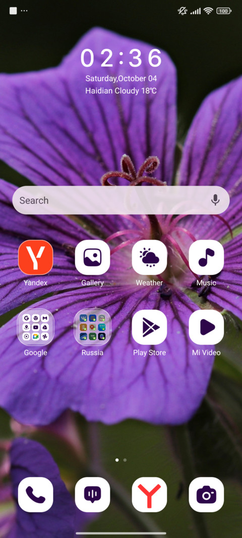 Mystic Bloom screenshot