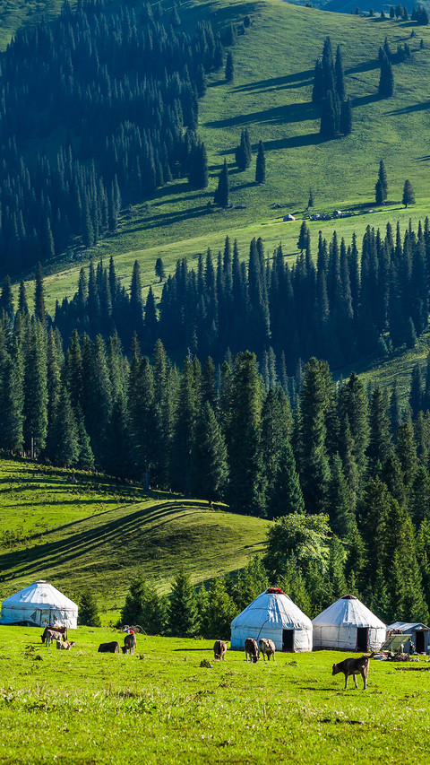 草原上的蒙古包 screenshot