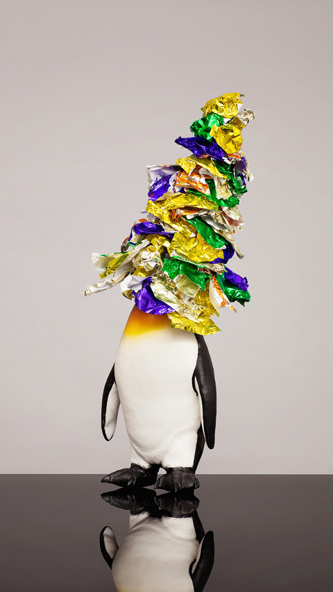 International-Penguin screenshot