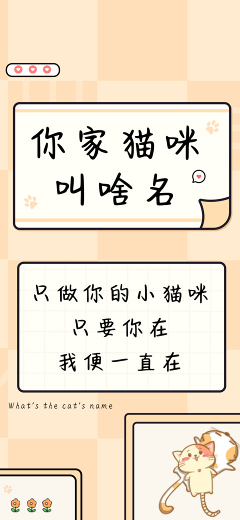 你家猫咪叫啥名 screenshot
