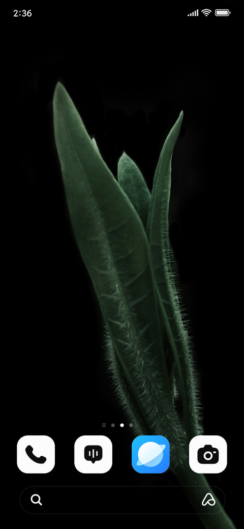 Shadow Leaf screenshot