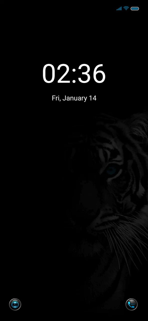 Blue Tiger screenshot