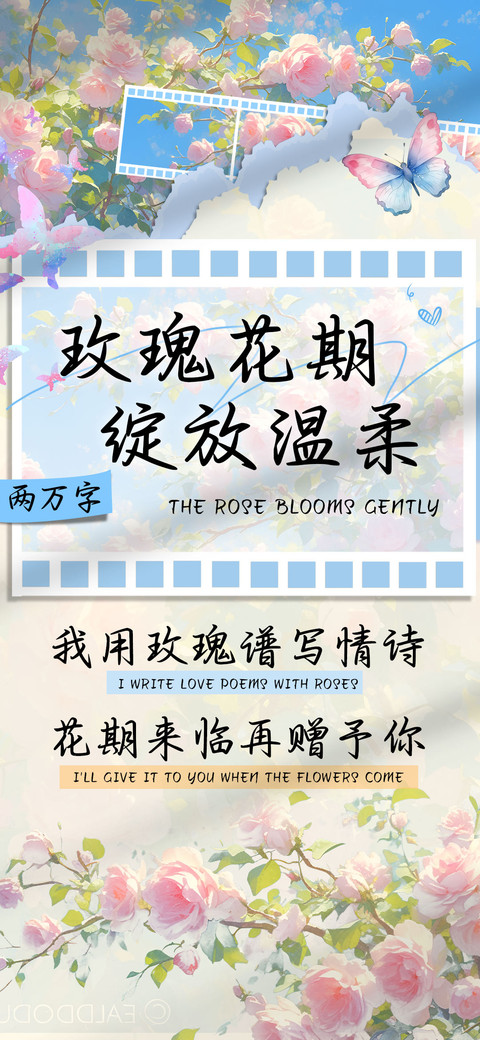 玫瑰花期绽放温柔 screenshot