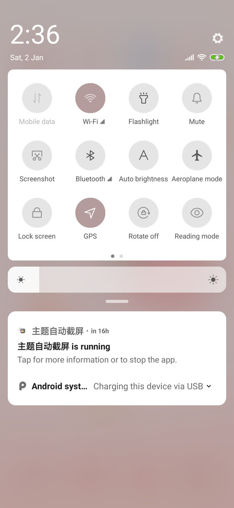 Strawberry Fruit screenshot