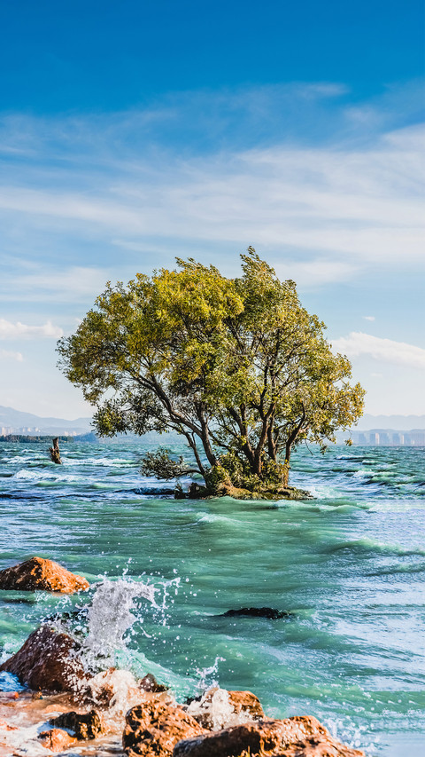 Dont miss the place around erhai lake screenshot