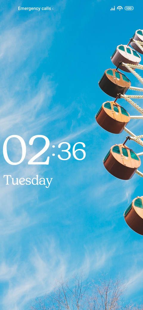 Ferris Wheel screenshot