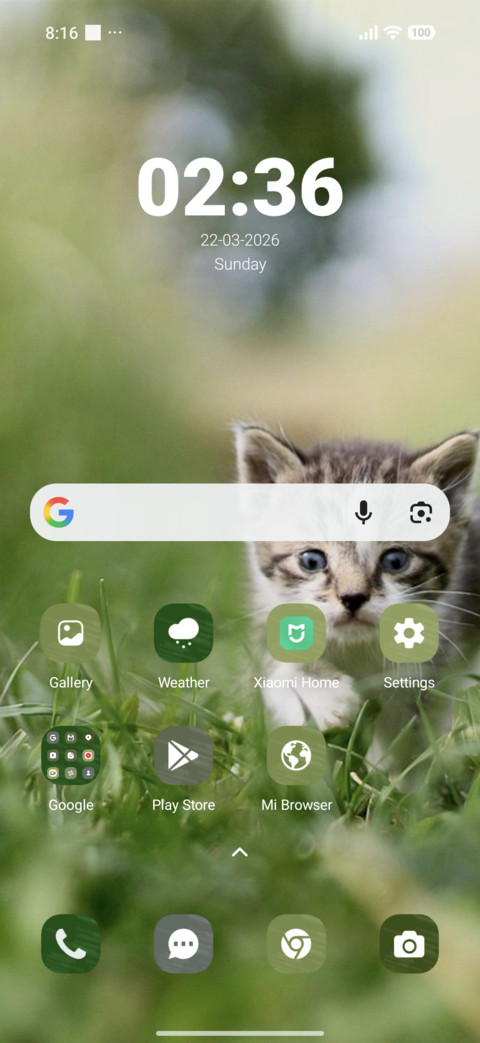 Green Cat screenshot