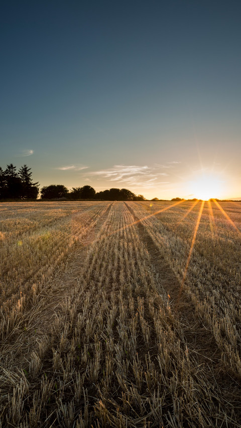 Sunset scenery of farmland in Aberdeenshire, Scotland screenshot